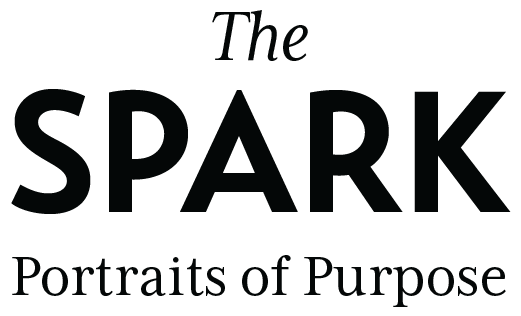 SPARK-LOGO The Spark logo